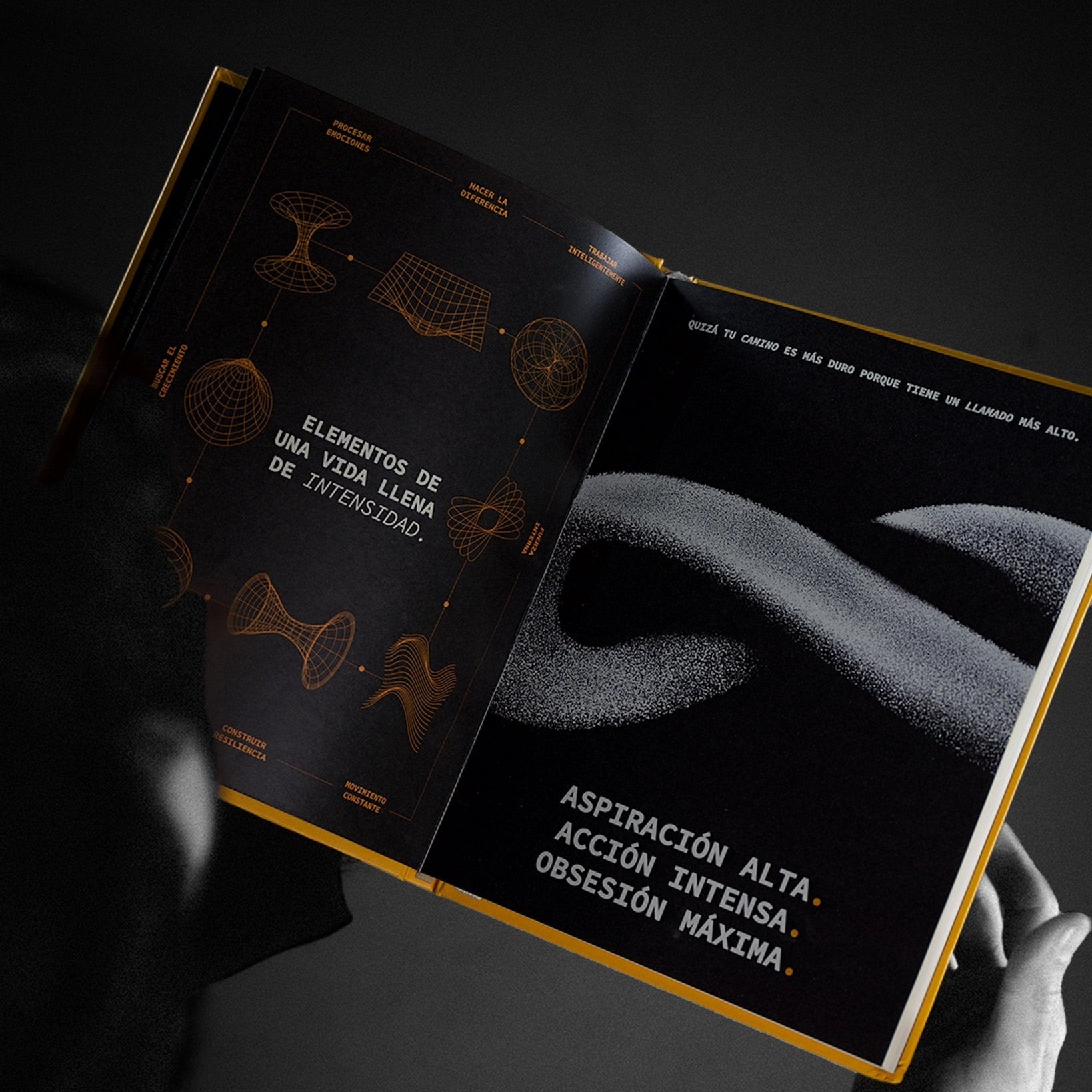 Journal #3: Altas Aspiraciones + Postcard + Experiencia Digital