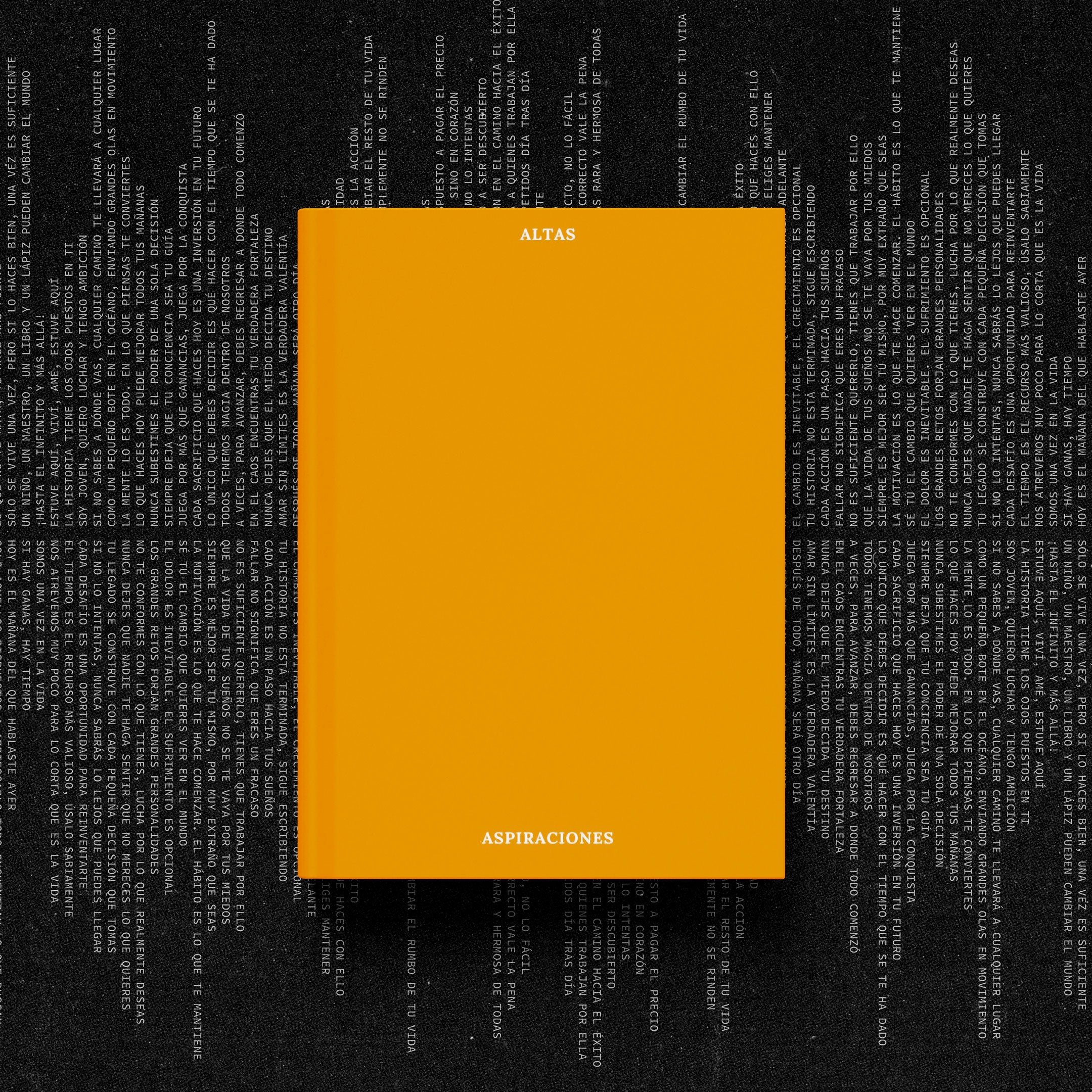 Journal #3: Altas Aspiraciones + Postcard + Experiencia Digital